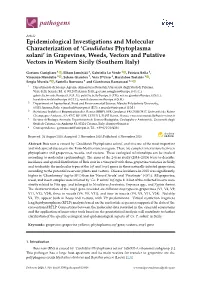 Epidemiological Investigations and Molecular Characterization Of