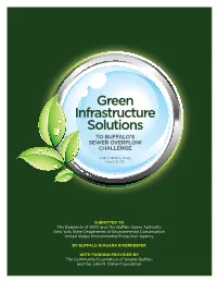 Green Infrastructure Solutions to BUFFALO’S SEWER OVERFLOW CHALLENGE