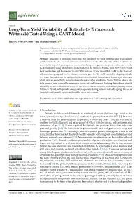 Long-Term Yield Variability of Triticale (Triticosecale Wittmack)