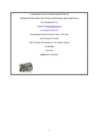 1 a New Opencast Coal Mine, Yoctolux Investments