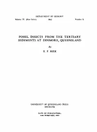Fossil Insects from the Tertiary Sediments at Dinmore, Queensland