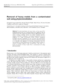 Removal of Heavy Metals from a Contaminated Soil Using Phytoremediation