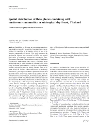 Spatial Distribution of Beta Glucan Containing Wild Mushroom Communities in Subtropical Dry Forest, Thailand