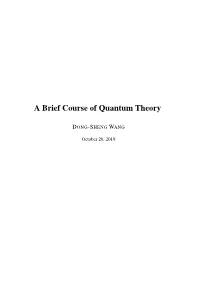 A Brief Course of Quantum Theory