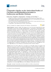 Comparative Studies on the Antioxidant Profiles of Curcumin