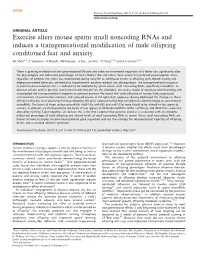 Exercise Alters Mouse Sperm Small Noncoding Rnas and Induces a Transgenerational Modiﬁcation of Male Offspring Conditioned Fear and Anxiety