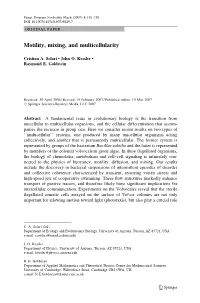 Motility, Mixing, and Multicellularity