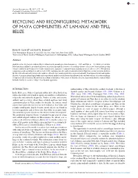 Recycling and Reconfiguring: Metalwork of Maya Communities at Lamanai and Tipu, Belize