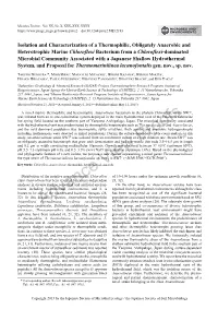 Advance View Proofs