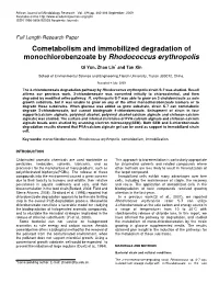 Cometabolism and Immobilized Degradation of Monochlorobenzoate by Rhodococcus Erythropolis