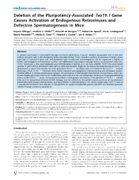 Deletion of the Pluripotency-Associated Tex19.1 Gene Causes Activation of Endogenous Retroviruses and Defective Spermatogenesis in Mice
