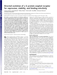 Directed Evolution of a G Protein-Coupled Receptor for Expression, Stability, and Binding Selectivity