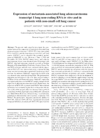 Expression of Metastasis‑Associated Lung Adenocarcinoma Transcript 1 Long Non‑Coding RNA in Vitro and in Patients with Non‑Small Cell Lung Cancer
