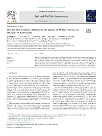 Two Toll-Like Receptors Identified in the Mantle of Mytilus Coruscus Are