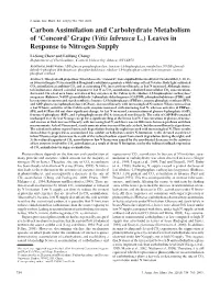 Carbon Assimilation and Carbohydrate Metabolism of ‘Concordʼ Grape (Vitis Labrusca L.) Leaves in Response to Nitrogen Supply