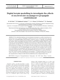 Digital Terrain Modelling to Investigate the Effects of Sea Level Rise on Mangrove Propagule Establishment