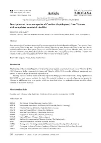 (Lepidoptera) from Vietnam, with an Updated Annotated Checklist