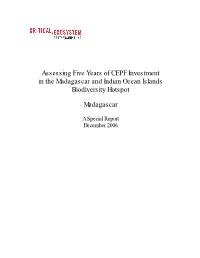 Final Project Report English Pdf 411.16 KB