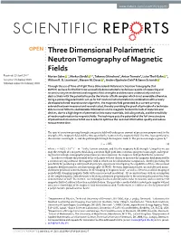 Three Dimensional Polarimetric Neutron Tomography of Magnetic