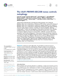 The ULK1-FBXW5-SEC23B Nexus Controls Autophagy