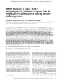 Bmpr Encodes a Type I Bone Morphogenetic Protein Receptor That Is Essential for Gastrulation During Mouse Embryogenesis