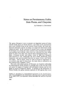 Notes on Persimmons, Kakis, Date Plums, and Chapotes by STEPHEN A