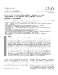 Recovery of Holothuroidea Population Density, Community Composition, and Respiration Activity After a Deep-Sea Disturbance Experiment