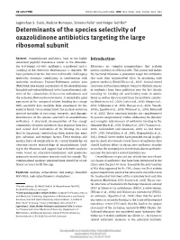 Determinants of the Species Selectivity of Oxazolidinone Antibiotics Targeting the Large Ribosomal Subunit