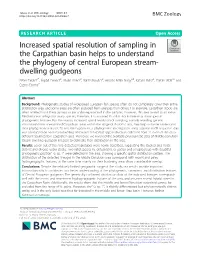 Increased Spatial Resolution of Sampling in the Carpathian Basin