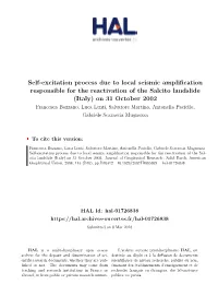 Self-Excitation Process Due to Local Seismic
