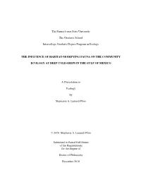 Open SLP Final Dissertation.Pdf