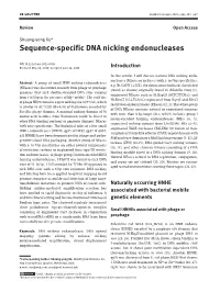 Sequence-Specific DNA Nicking Endonucleases