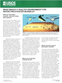 What Makes a Healthy Environment for Native Freshwater Mussels?