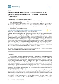 Paramecium Diversity and a New Member of the Paramecium Aurelia Species Complex Described from Mexico