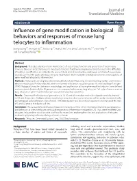 Influence of Gene Modification in Biological Behaviors and Responses of Mouse Lung Telocytes to Inflammation
