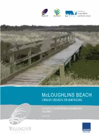 Mcloughlins BEACH URBAN DESIGN FRAMEWORK