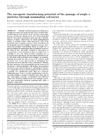 The Oncogenic Transforming Potential of the Passage of Single Particles