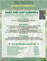 BARK and LEAF RUBBINGS Bark and Leaf Rubbings Can Be a Simple Way to Collect the Many Interesting Patterns
