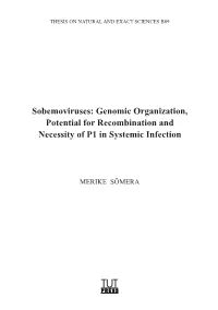 Genomic Organization, Potential for Recombination and Necessity of P1 in Systemic Infection