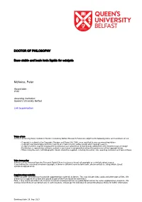 Base Stable and Basic Ionic Liquids for Catalysis