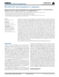 Brucella Ceti and Brucellosis in Cetaceans