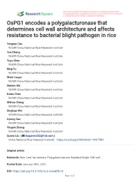 Ospg1 Encodes a Polygalacturonase That Determines Cell Wall Architecture and Affects Resistance to Bacterial Blight Pathogen in Rice