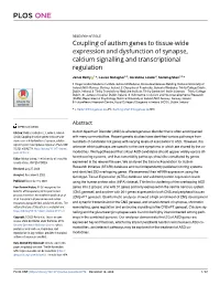 Coupling of Autism Genes to Tissue-Wide Expression and Dysfunction of Synapse, Calcium Signalling and Transcriptional Regulation