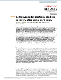 Extrapyramidal Plasticity Predicts Recovery After Spinal Cord Injury E
