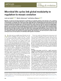 Microbial Life Cycles Link Global Modularity in Regulation to Mosaic Evolution