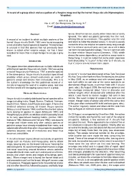 A Record of a Group Attack and Occupation of a Vespine Wasp Nest by the Hornet Vespa Ducalis (Hymenoptera: Vespidae)