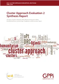 Cluster Approach Evaluation 2 Synthesis Report