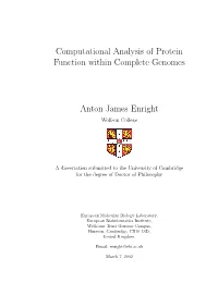 Computational Analysis of Protein Function Within Complete Genomes