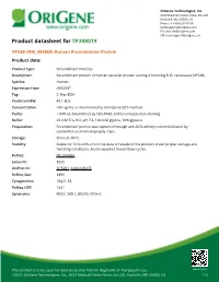 VPS4B (NM 004869) Human Recombinant Protein Product Data