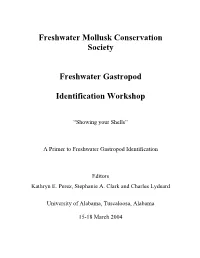 A Primer to Freshwater Gastropod Identification